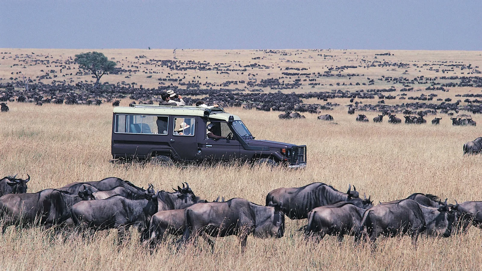 Safarifahrzeug als Silhouette vor dramatischem Serengeti-Himmel während einer morgendlichen Pirschfahrt