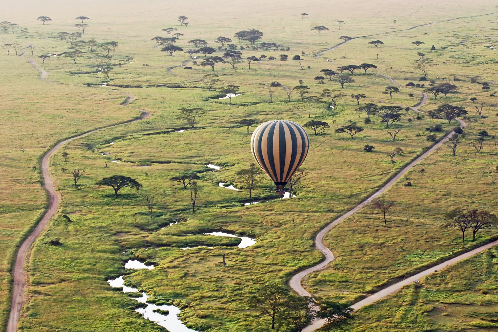 Heißluftballon schwebt bei Sonnenaufgang über der Serengeti