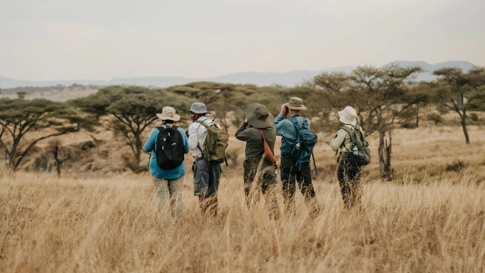 Wandersafari durch Akazienwald mit bewaffnetem Ranger