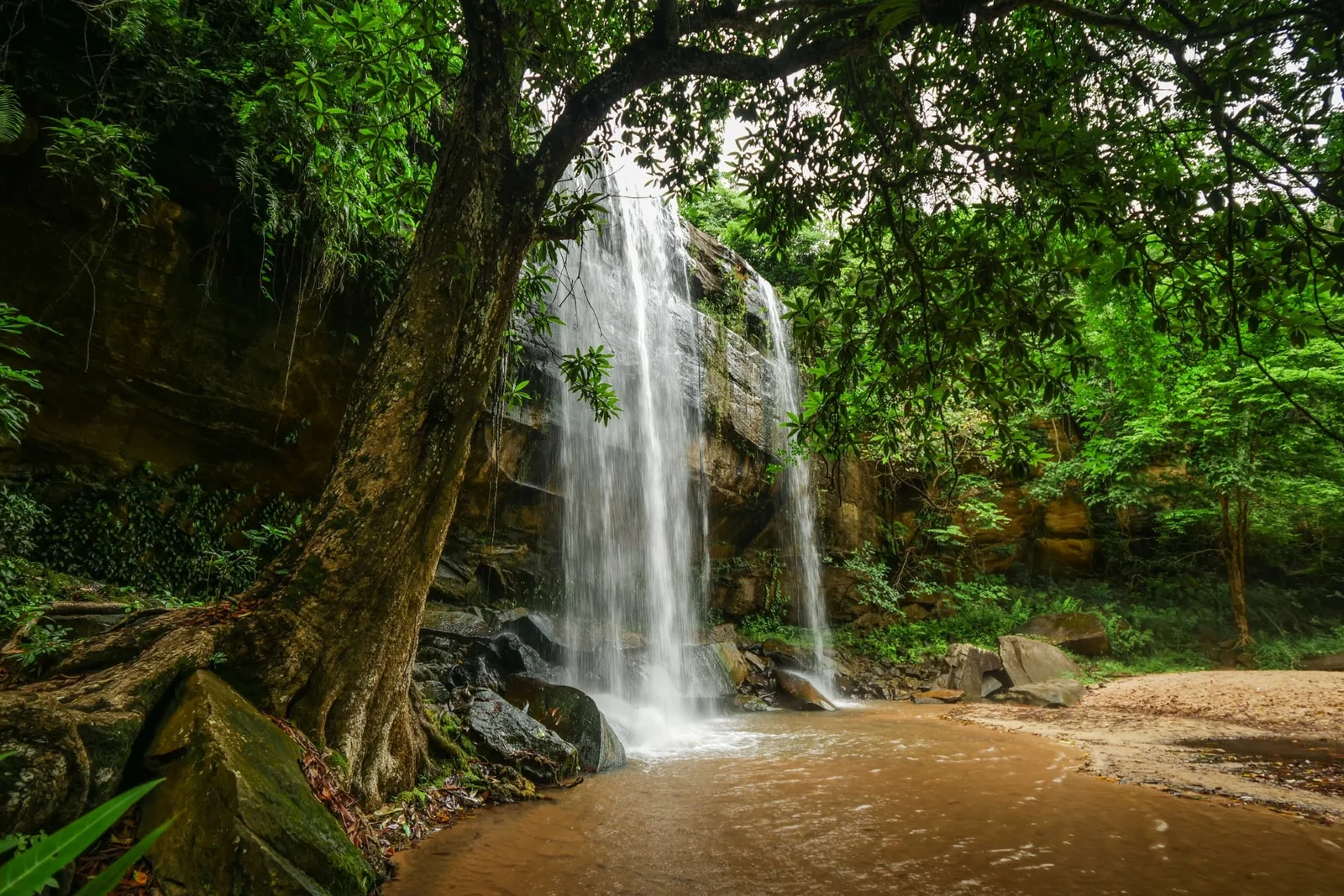 Les Sheldrick Falls, chute de 21 mètres, se déversant dans un bassin naturel forestier, avec le sentier escorté par un ranger visible