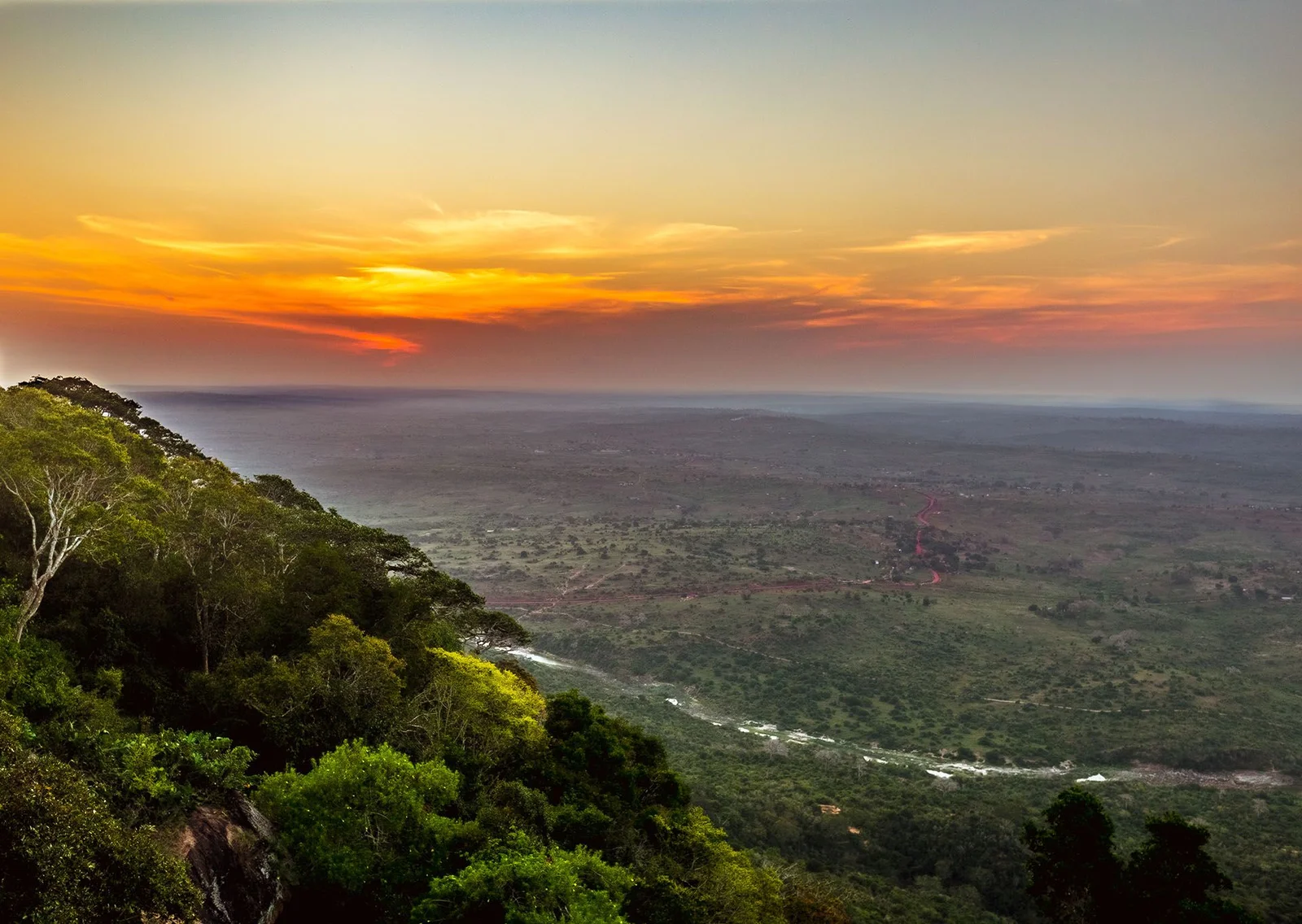 Morgennebel lichtet sich über den Graslandflächen des Shimba-Plateaus in der kühlen Trockenzeit — die Kusi-Wolkendecke, die im Juni, Juli und September oft bis 10 Uhr über dem Reservat hängt, den Monaten, die wiederkehrende Shimba-Besucher am beständigsten empfehlen.
