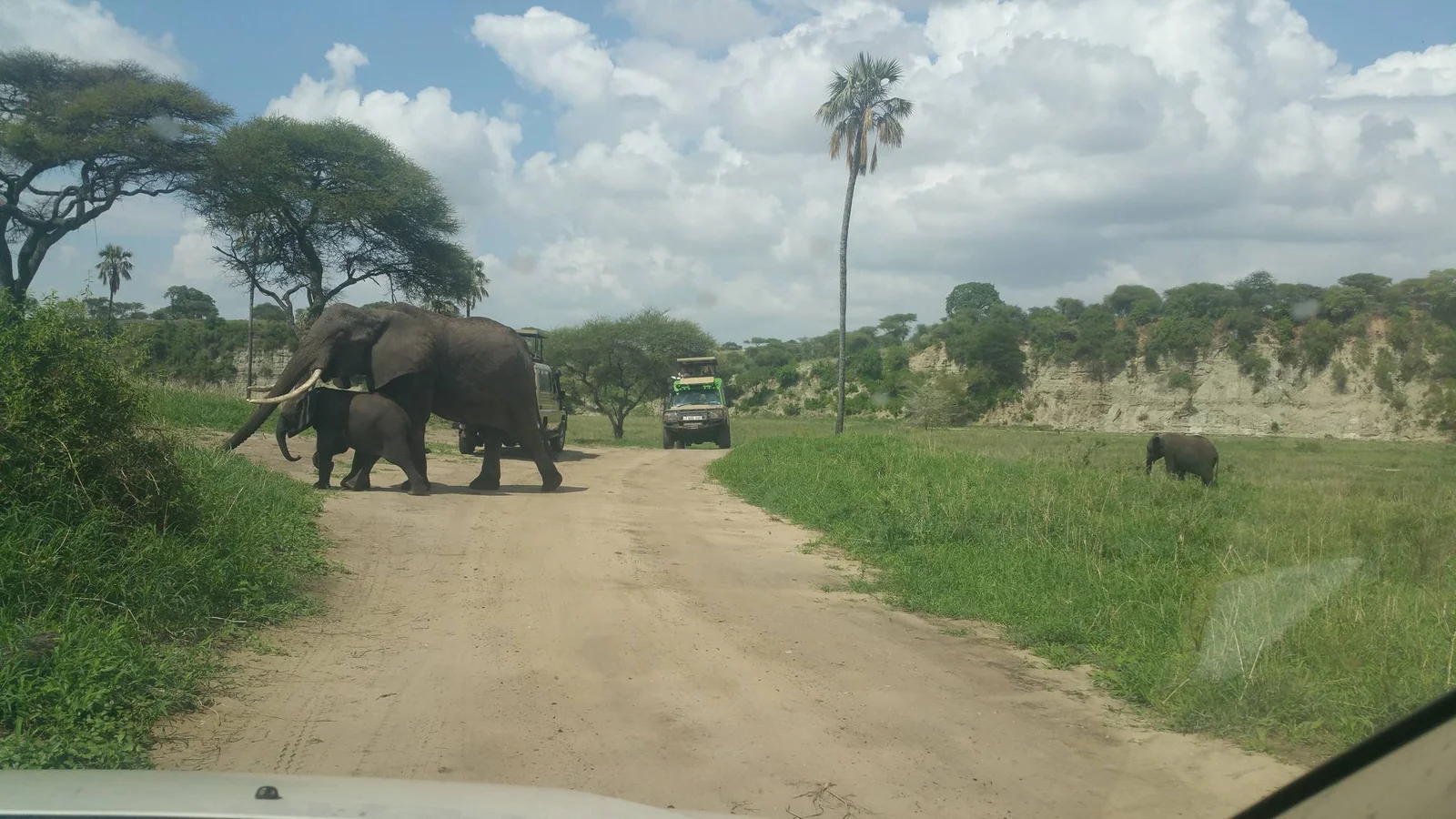 Carretera asfaltada desde Arusha serpenteando por la estepa masái en dirección al Tarangire National Park