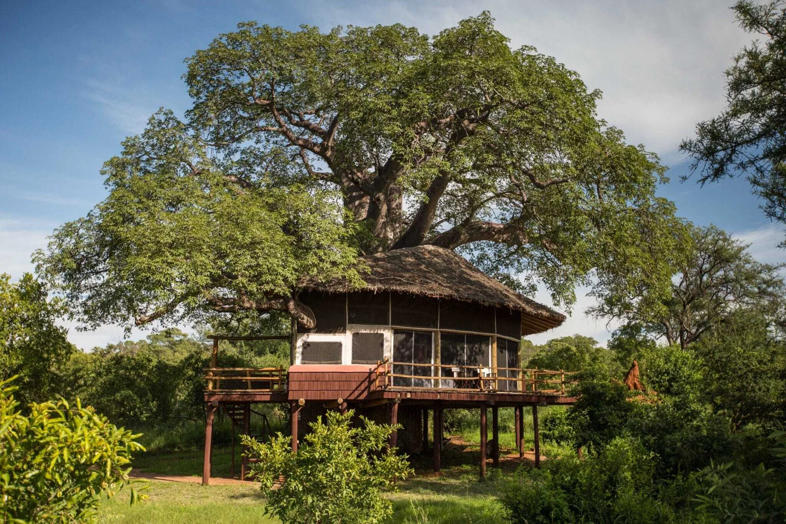 Suite de lujo en casa del árbol entre antiguos baobabs
