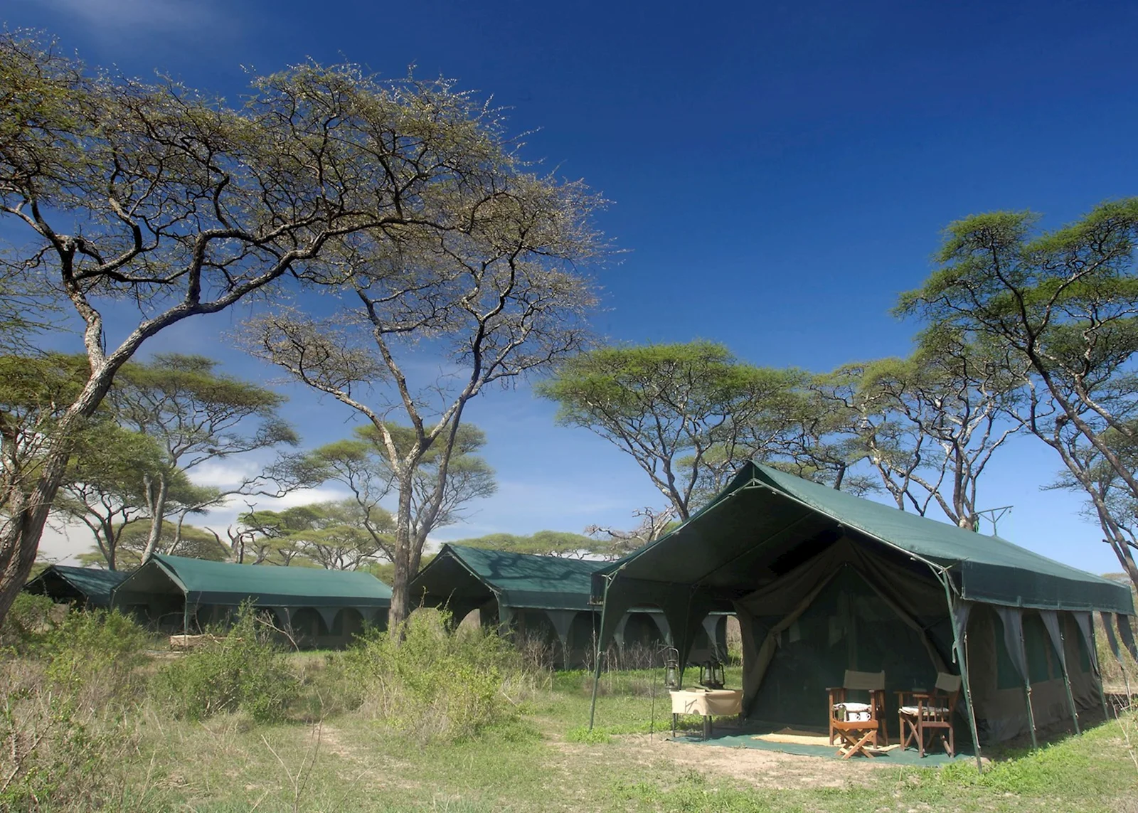 Sencilla tienda de lona en un campamento móvil dentro de Tarangire