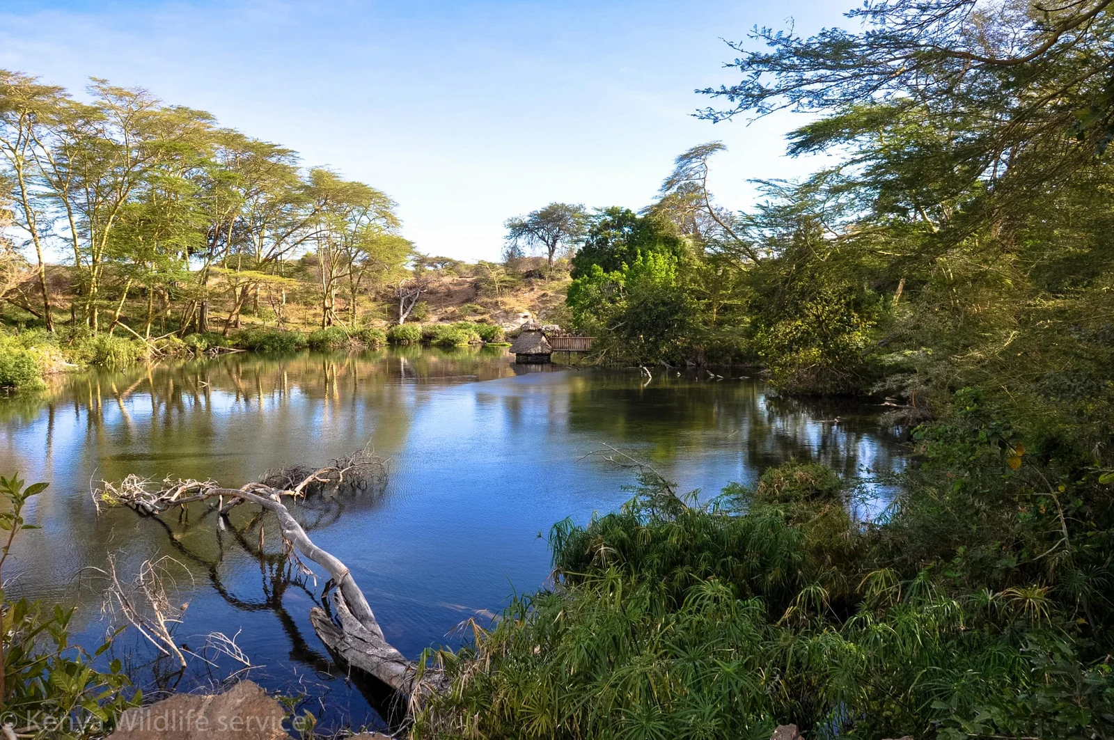 Satao Tented Camp — jedes Zelt blickt auf das Wasserloch, an dem die Herden trinken.