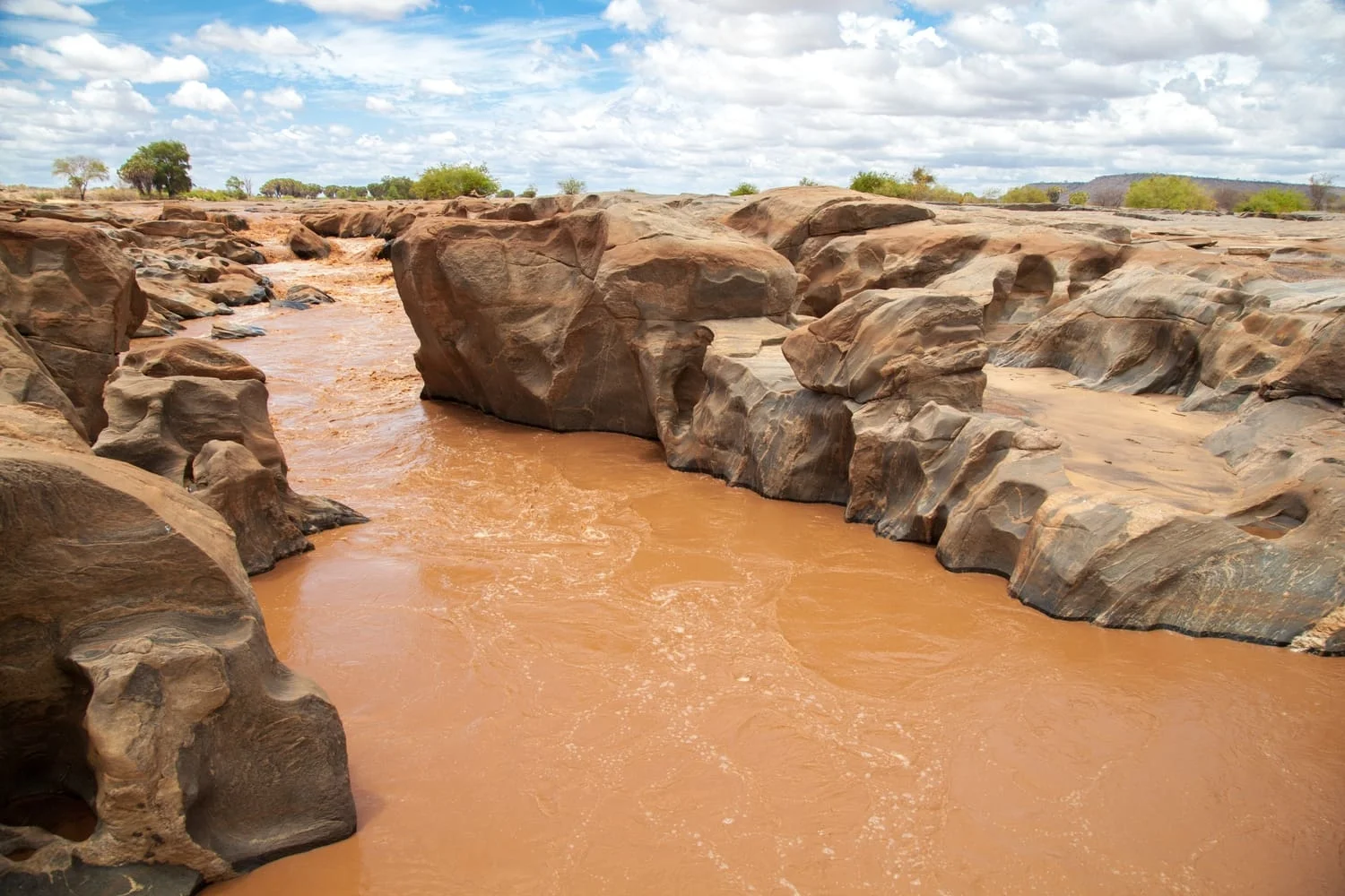 Wasserloch am Mudanda Rock mit trinkender Elefantenherde unterhalb des Felsvorsprungs