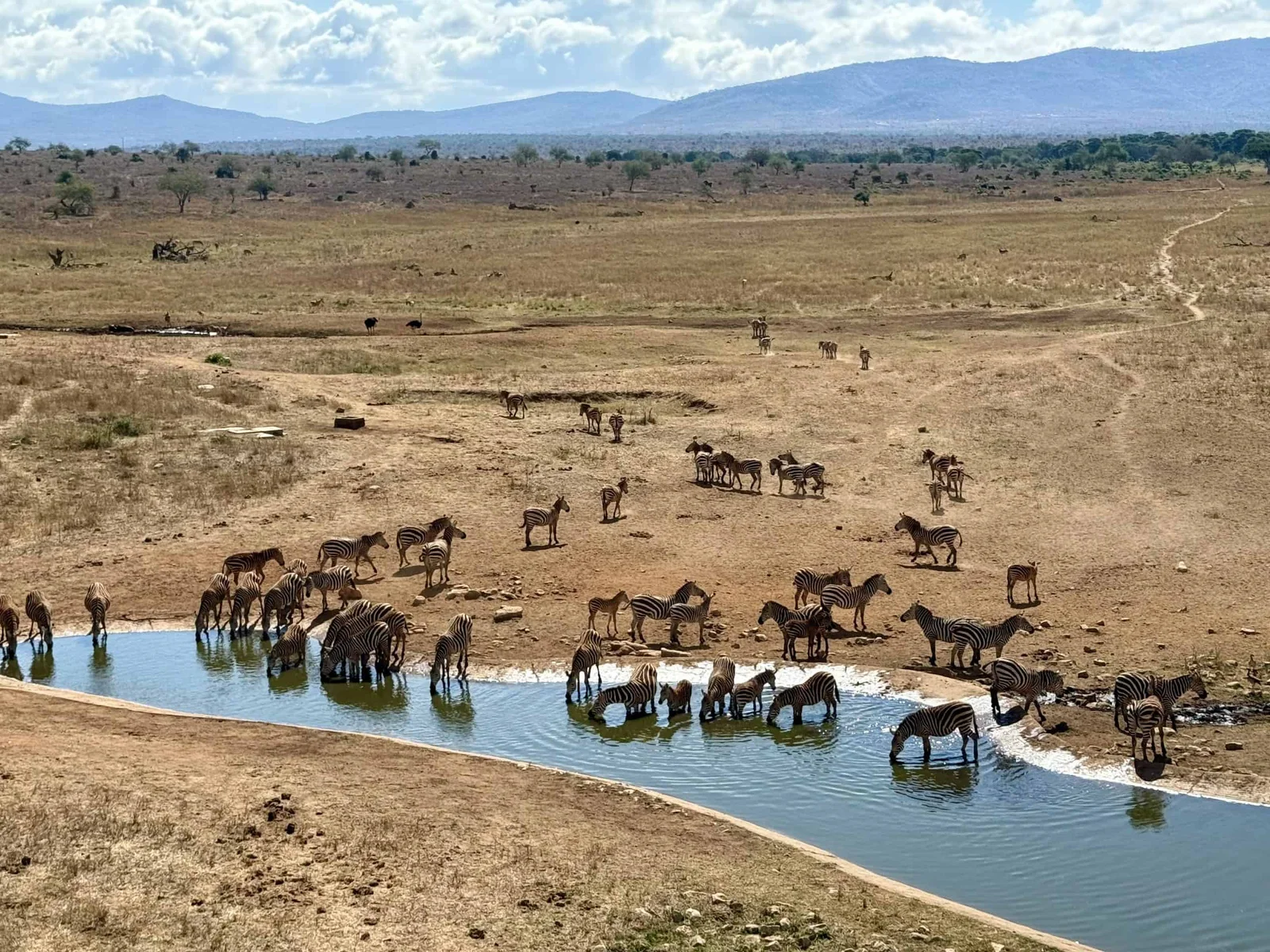 La coulée de lave de Shetani s'étendant à travers la plaine, avec les Chyulu Hills en arrière-plan dans la lumière de fin d'après-midi