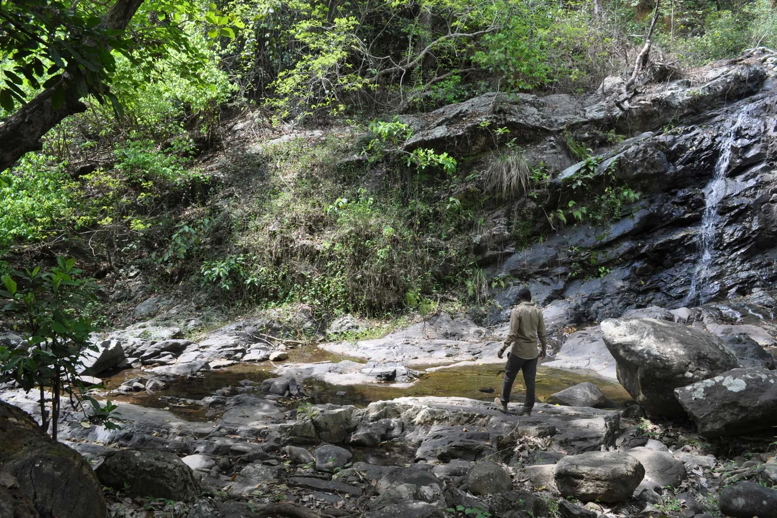 Wet-season trail with muddy footing, lush green vegetation, and mist