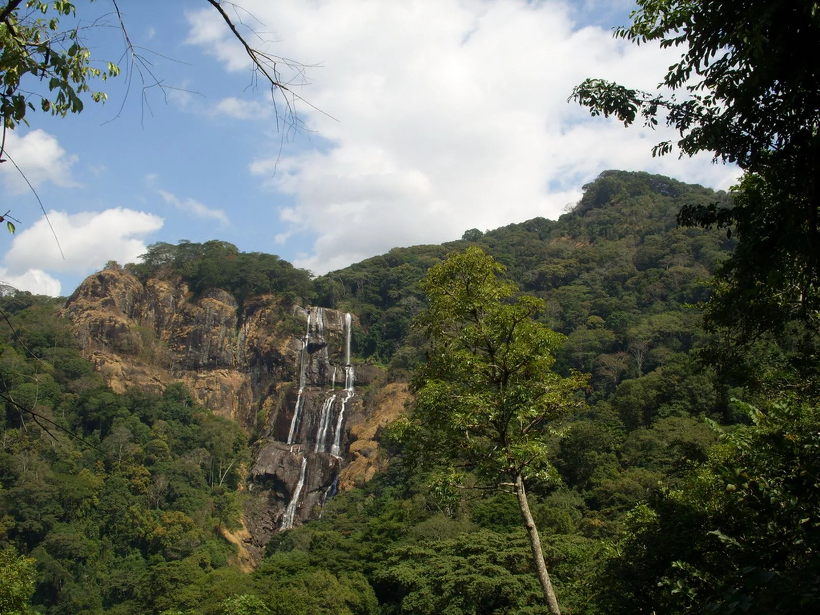 Udzungwa park headquarters at Mang'ula village with the forested mountain slopes rising behind