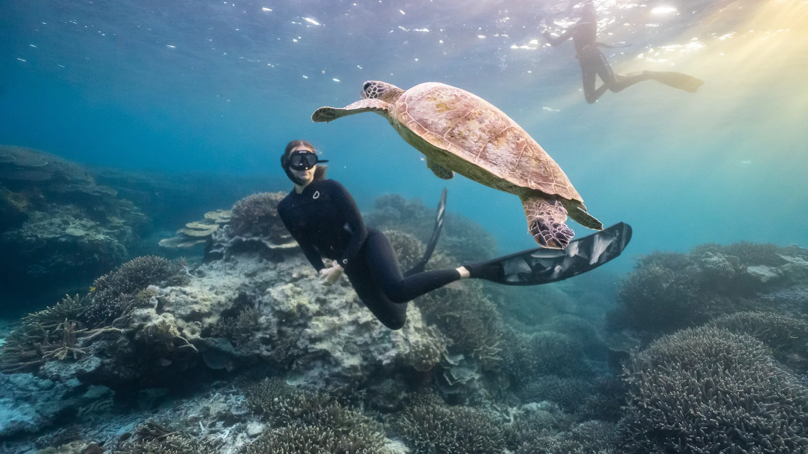 Buceador de snorkel nadando junto a una tortuga verde en el atolón de Mnemba