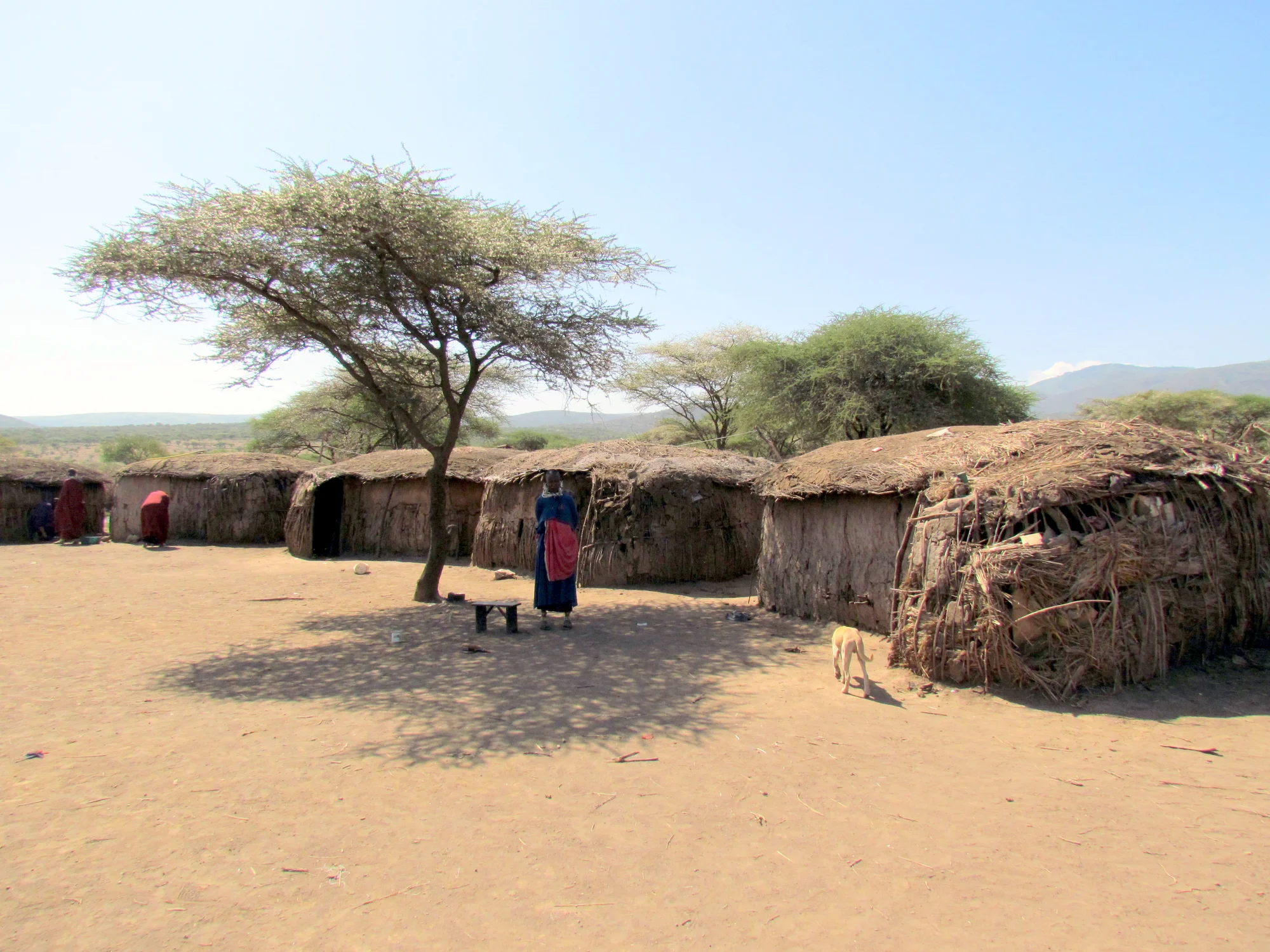 Visita Cultural a un Boma Maasai (Medio Día)
