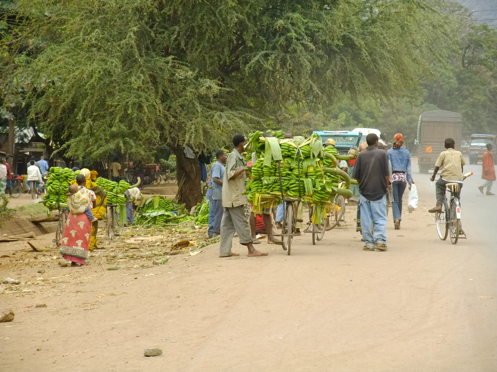 Mto wa Mbu Dorferlebnis (Halbtags)