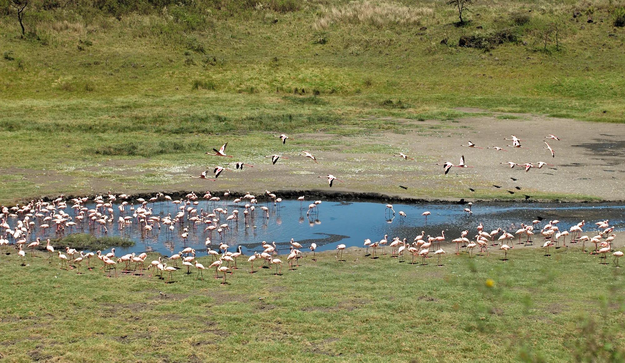 Escursione di un Giorno al Parco Nazionale di Arusha