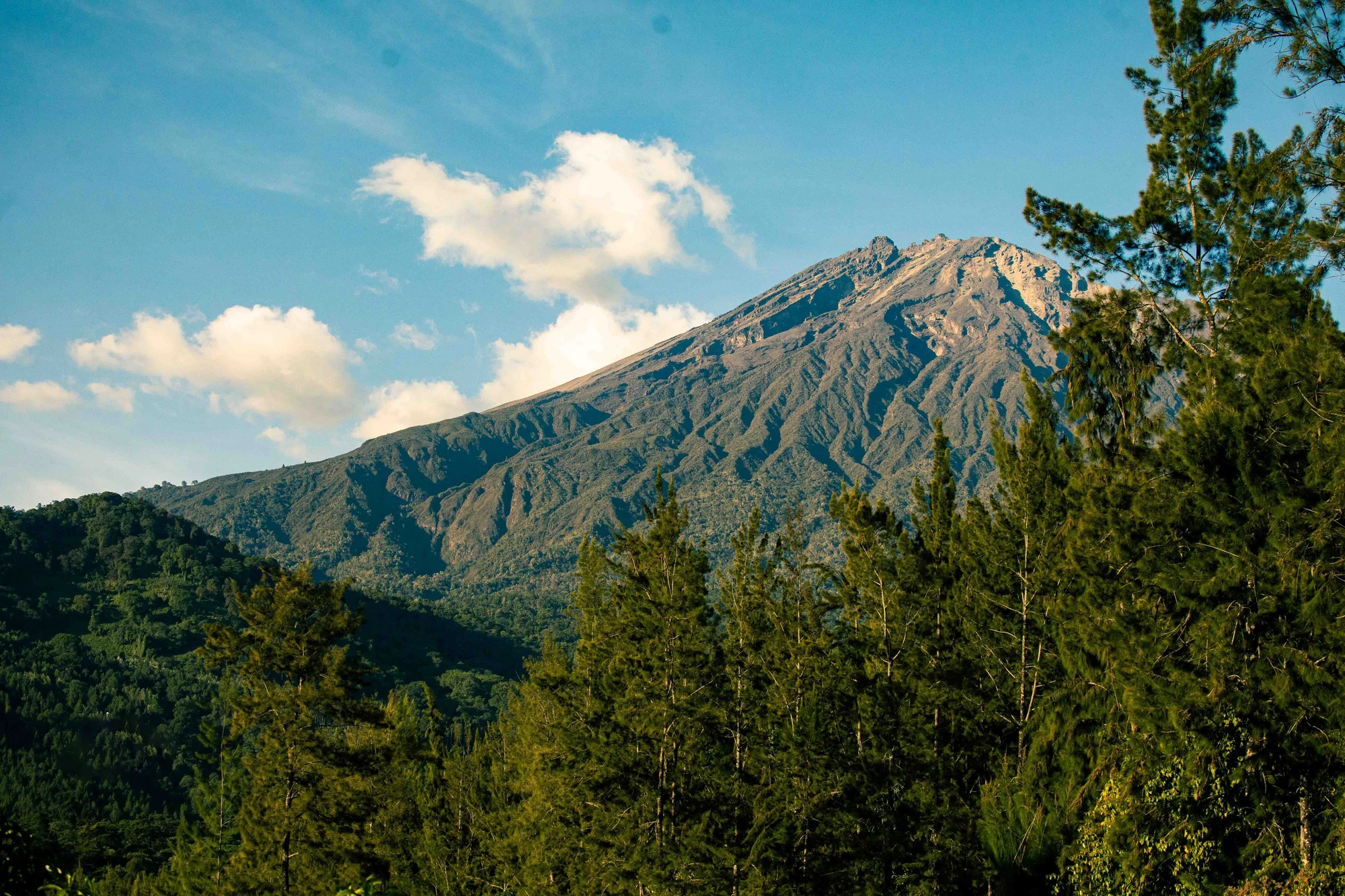 Salita al Mt Meru di 4 Giorni