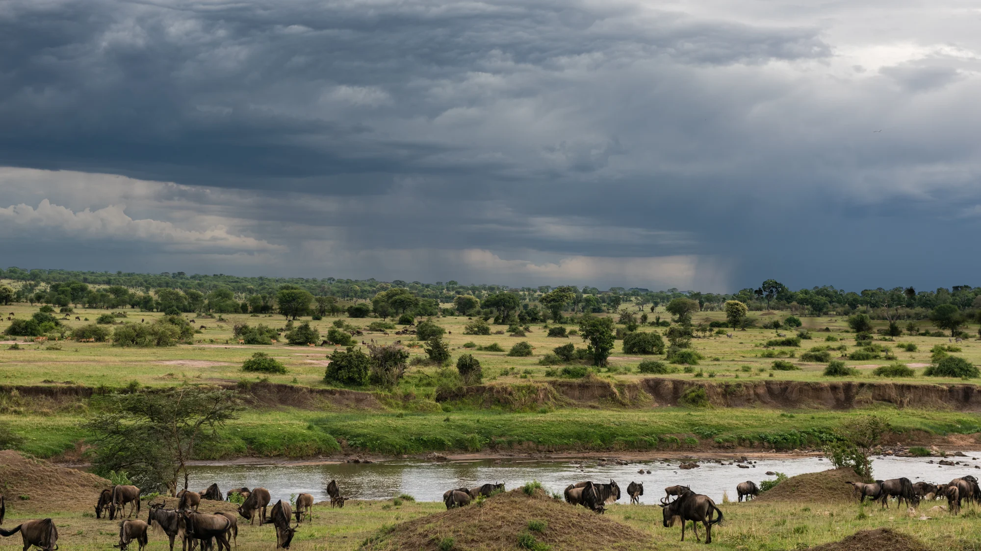 4-Day Kogatende Migration Fly-In Safari