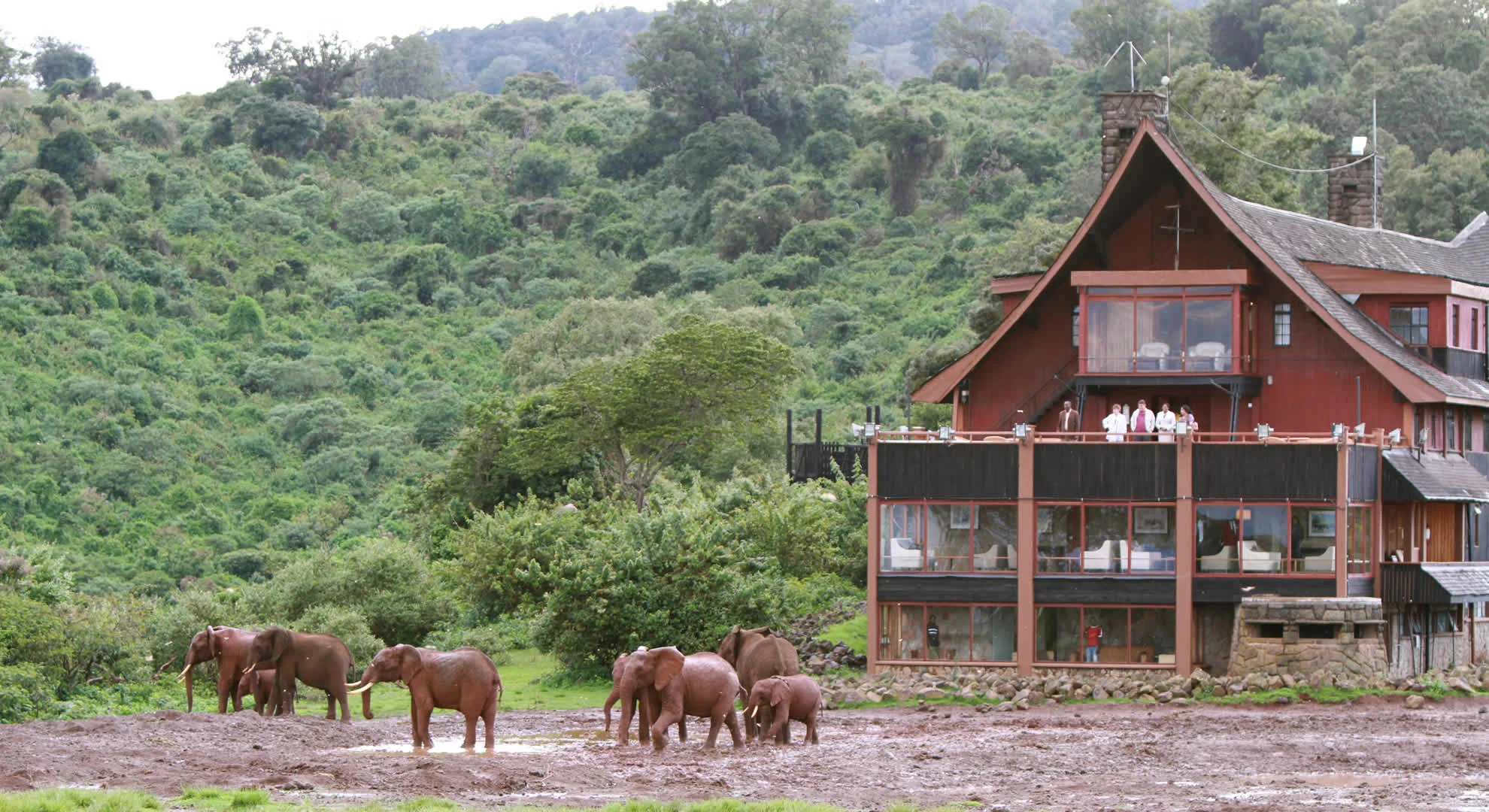 Aberdare National Park — 4