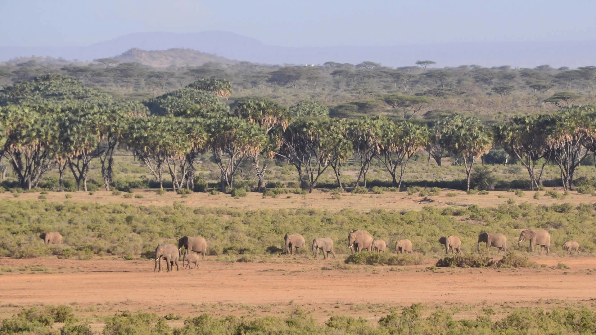 Aberdare National Park — 5