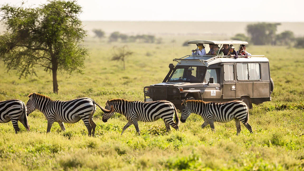 Amboseli National Park — 1