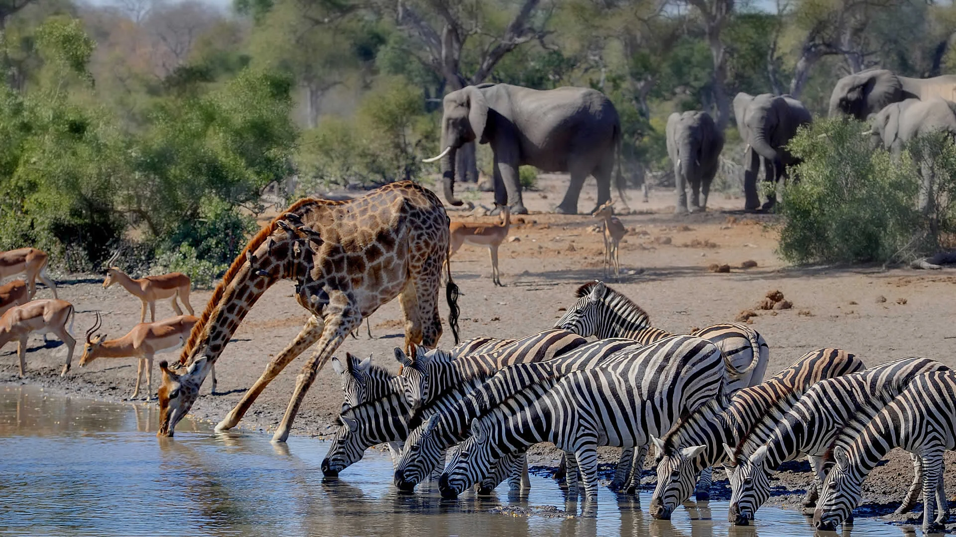 Amboseli National Park — 3