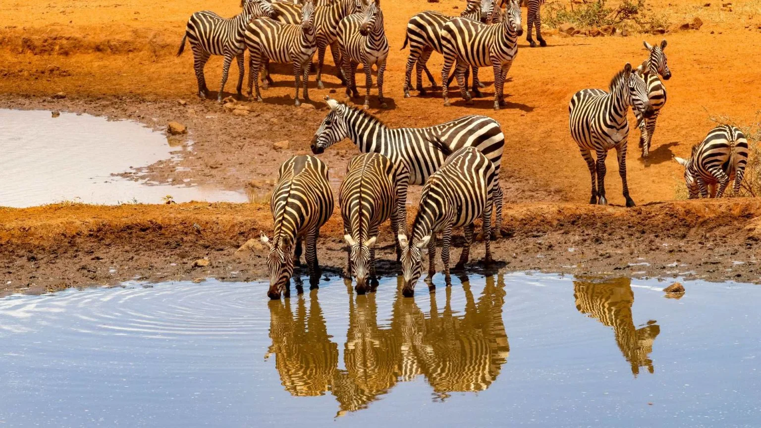 Amboseli National Park — 5