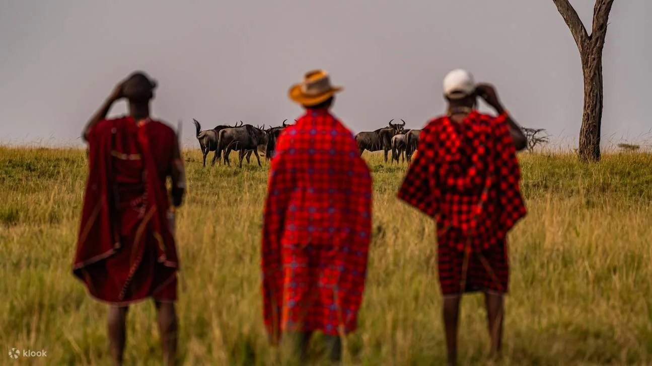 Safari di 4 Giorni a Tsavo East, Tsavo West e Amboseli