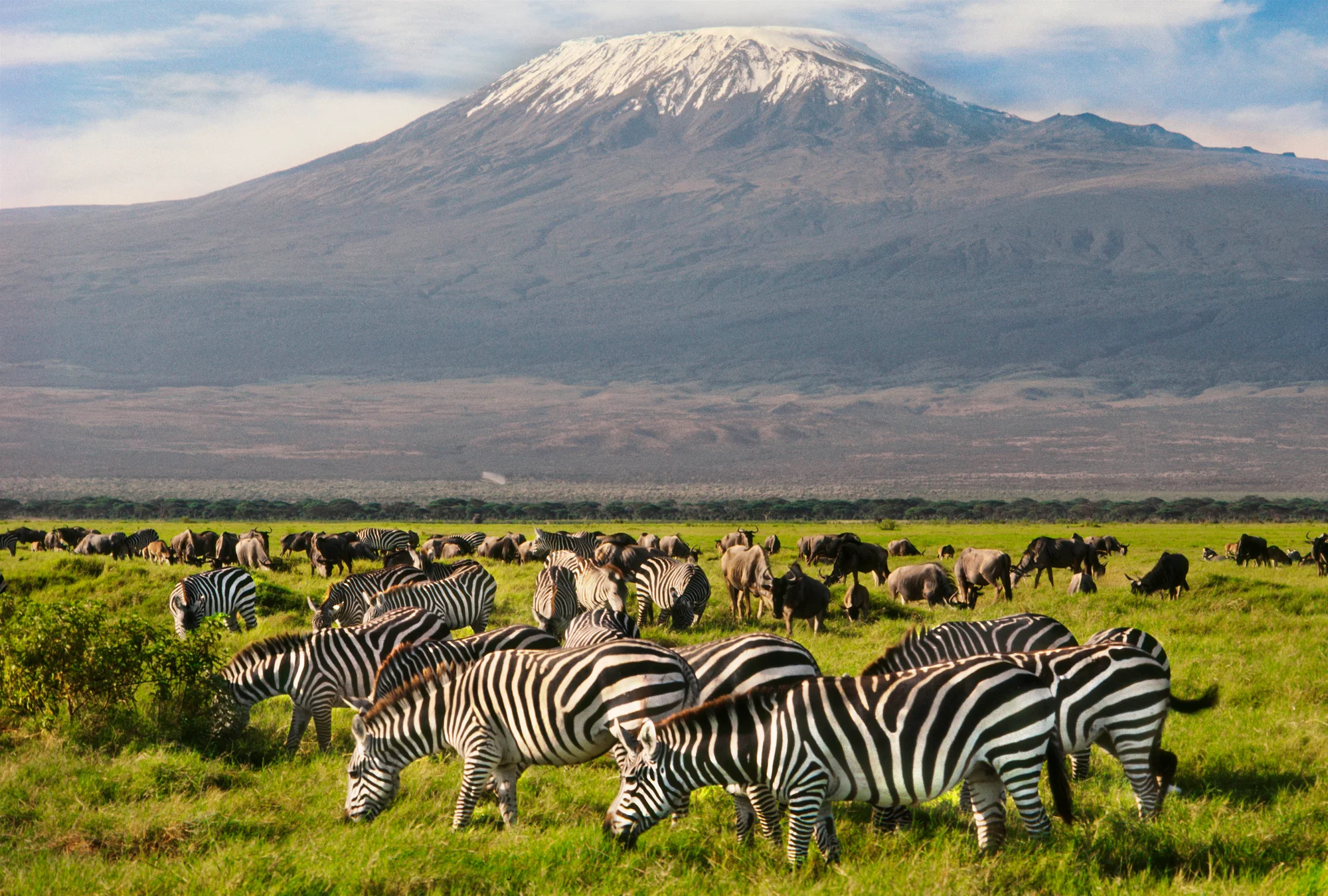 4-Day Tsavo East, Tsavo West & Amboseli Safari