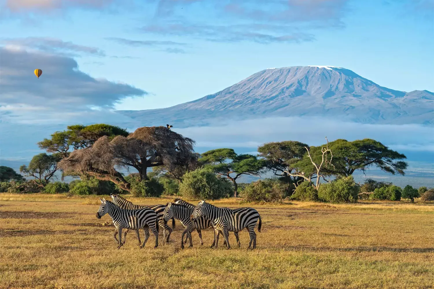 Safari di Gruppo di 3 Giorni ad Amboseli