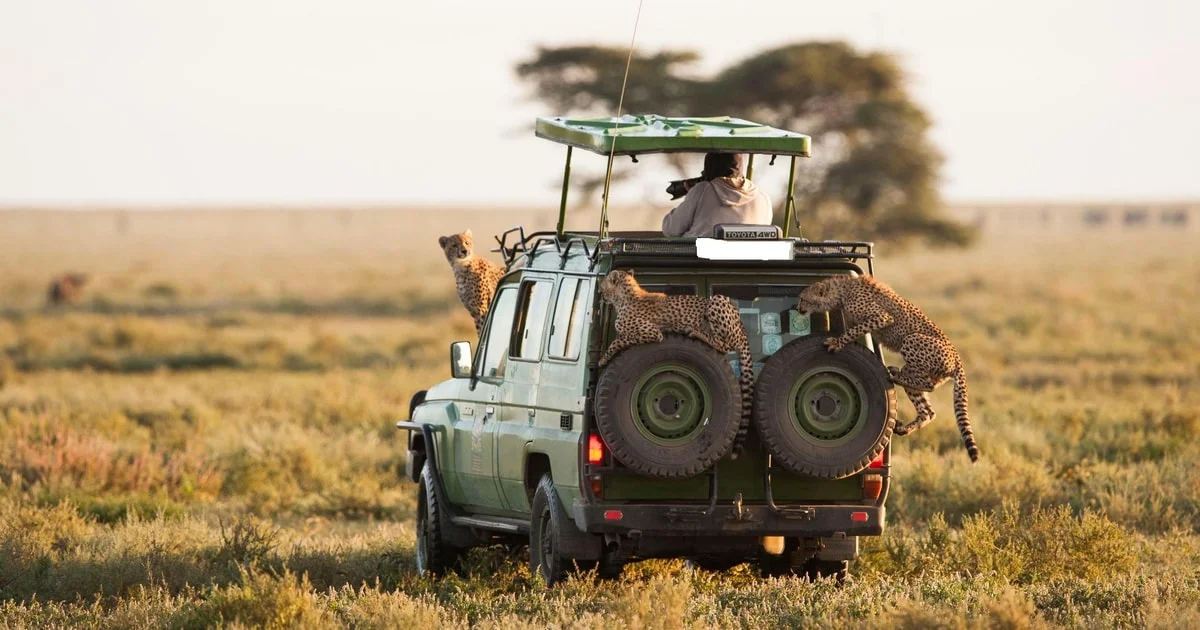 7-Day Masai Mara, Nakuru, Naivasha & Amboseli Safari