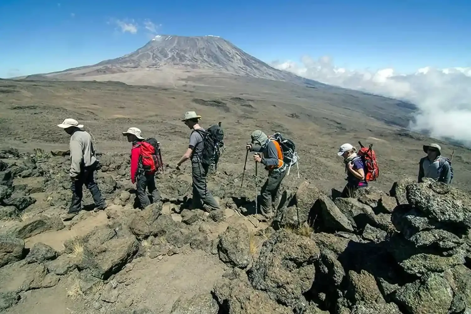 13-Day Kilimanjaro Rongai + Safari (Crater Finale)