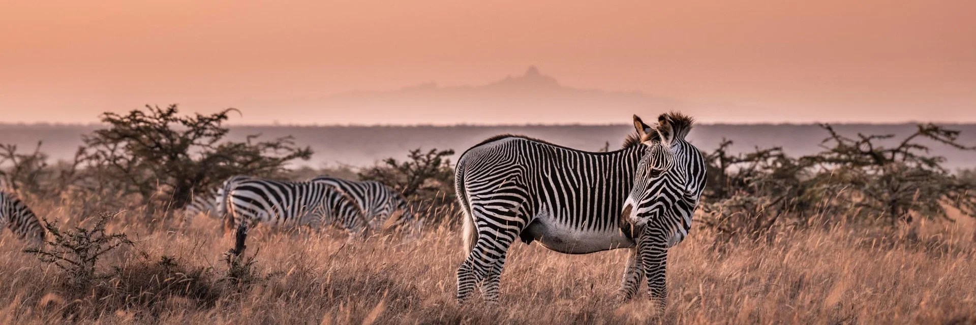 Laikipia Plateau & Ol Pejeta — 2