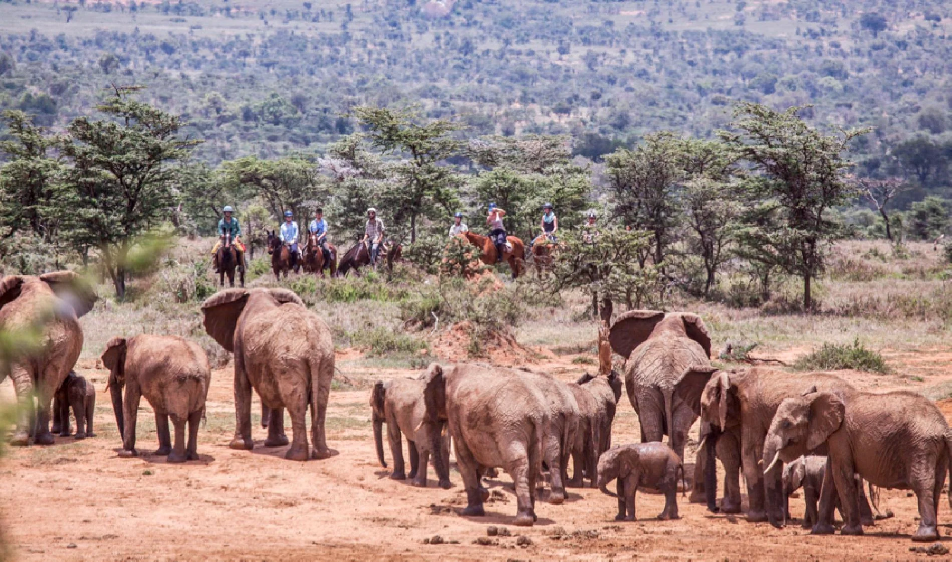 3-Day Aberdare & Ol Pejeta Safari