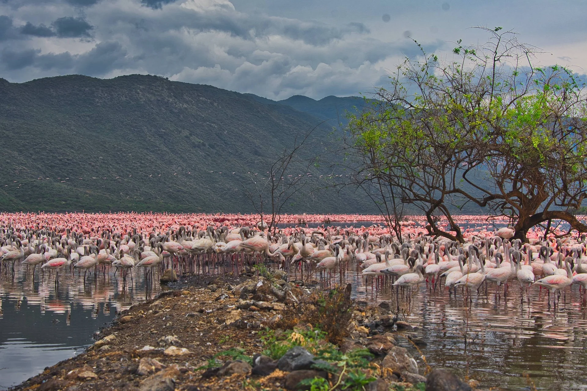Lake Bogoria National Reserve — 1