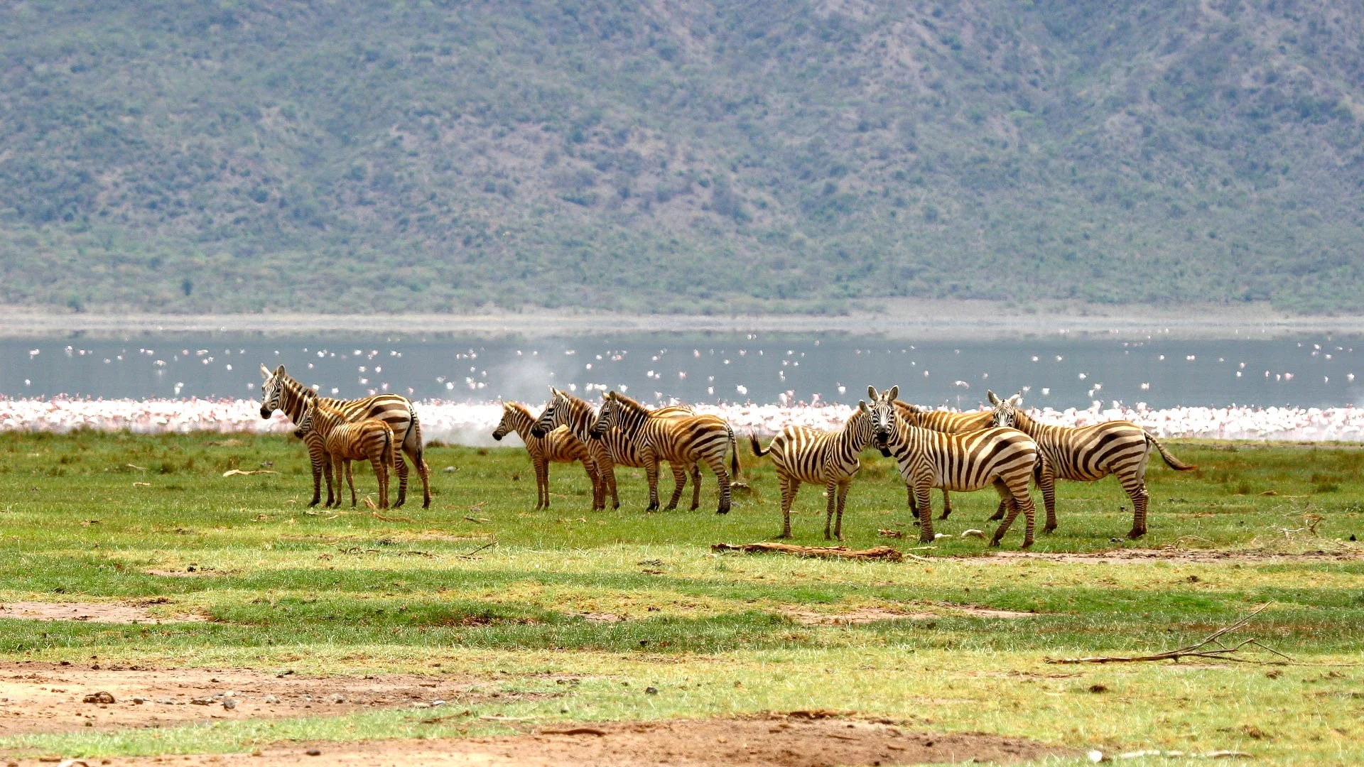 Lake Bogoria National Reserve — 2