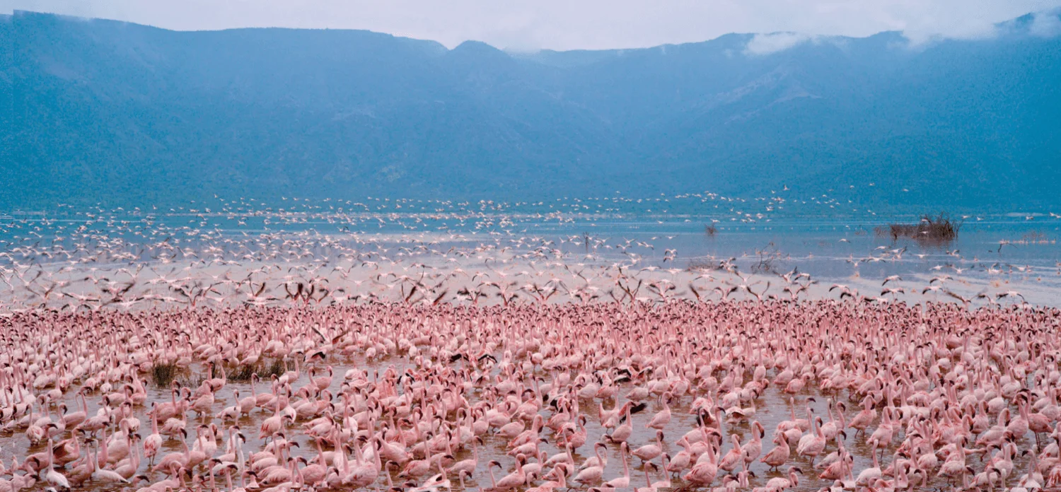 Lake Bogoria National Reserve — 3