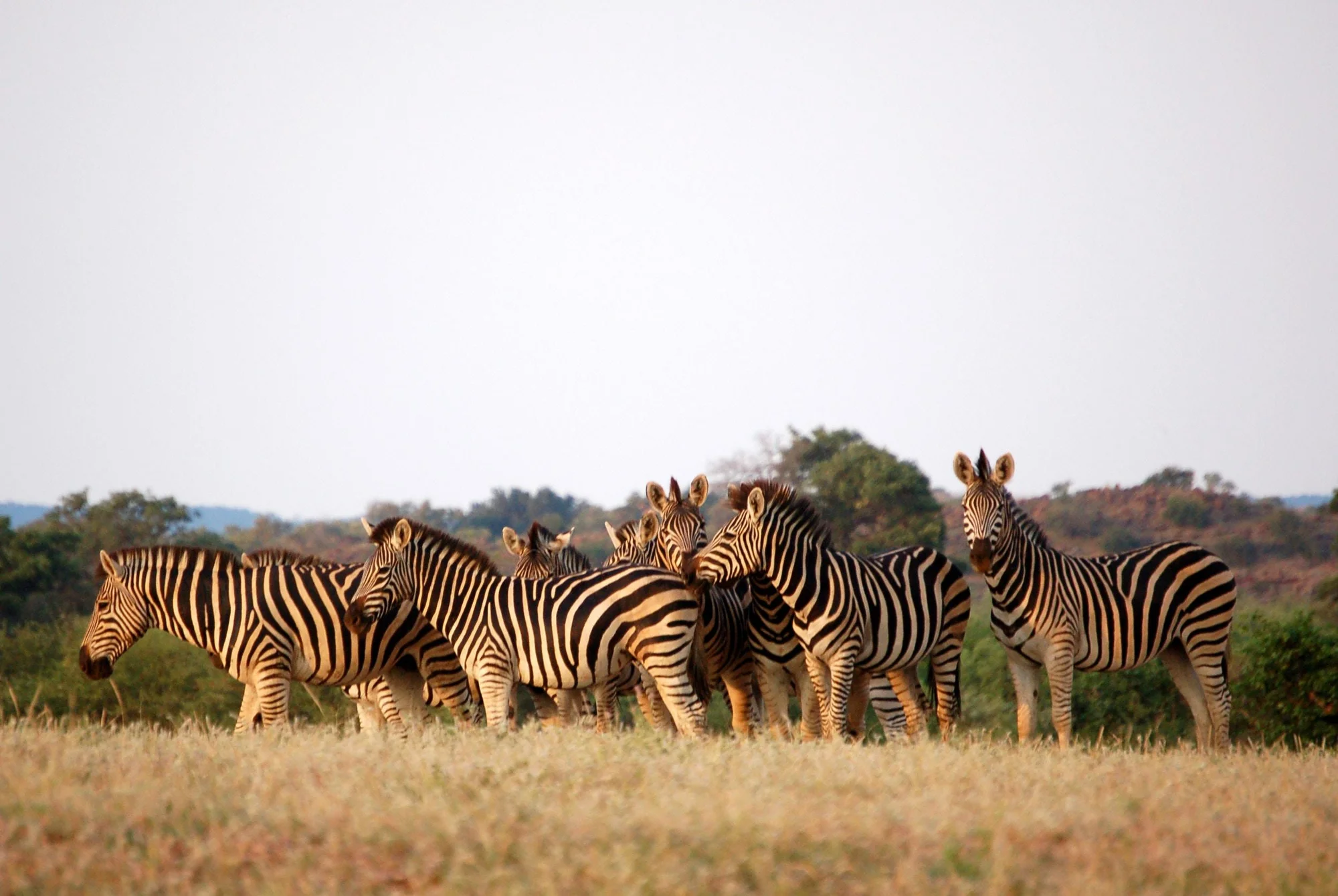 Lake Bogoria National Reserve — 4