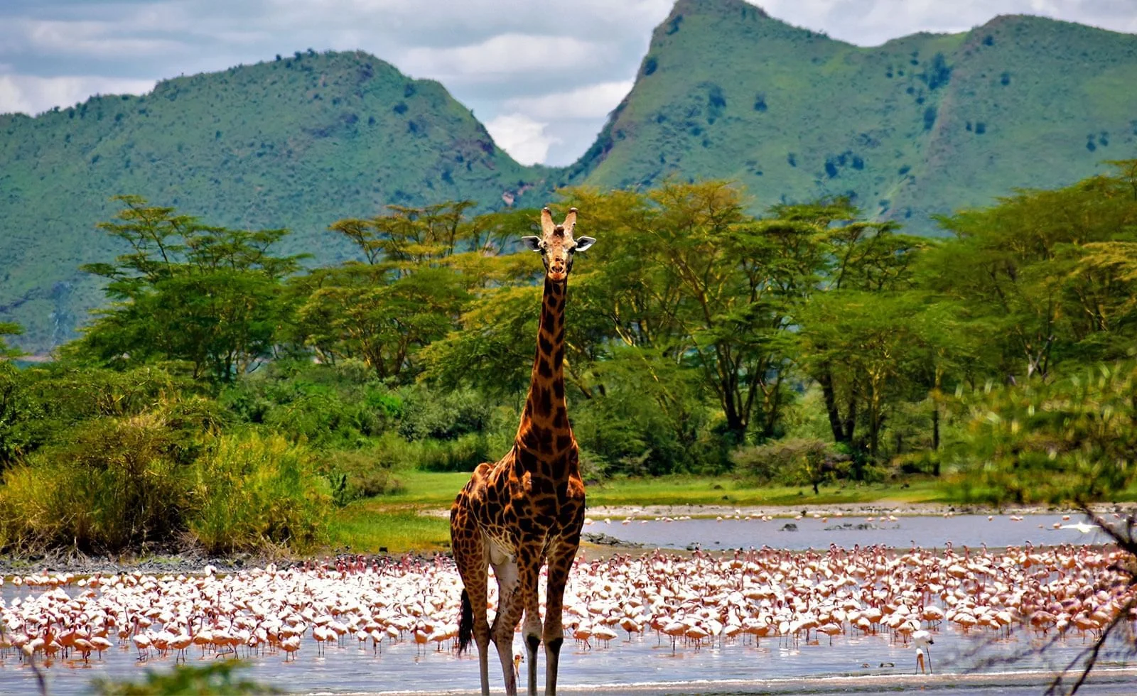 Lake Elementaita — 3