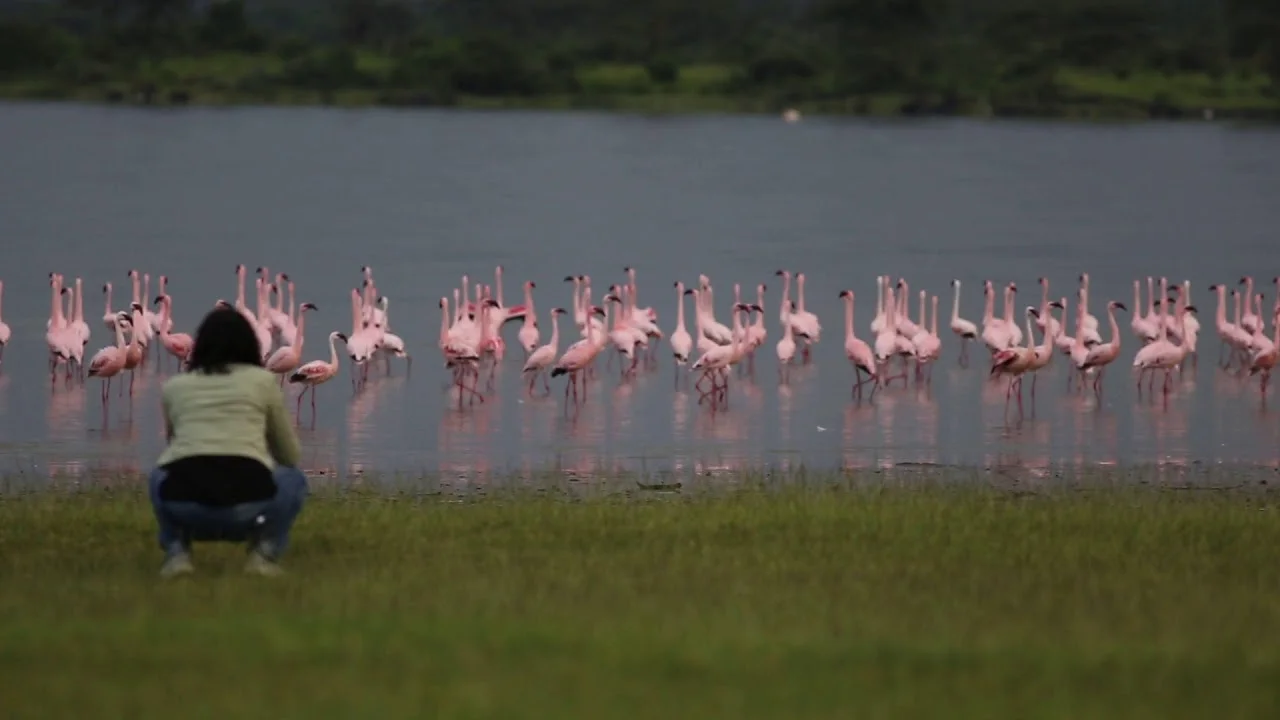 Lake Elementaita — 5