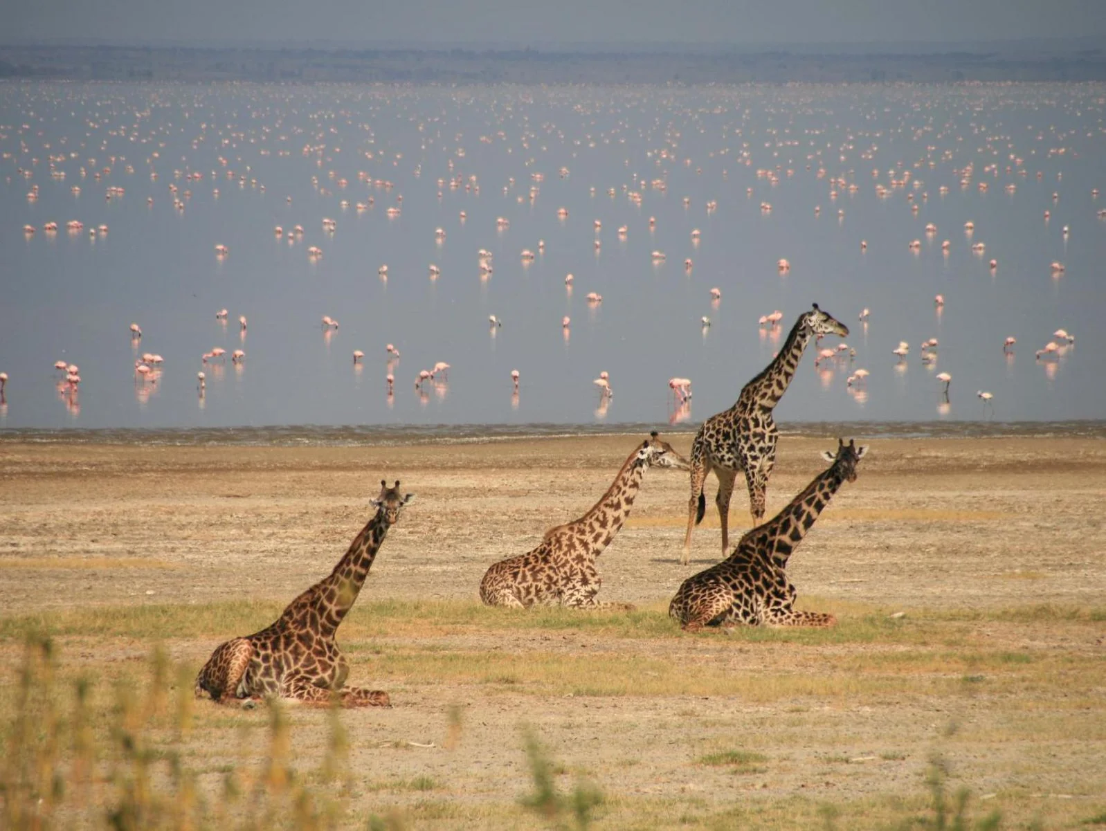Lake Manyara National Park — 2