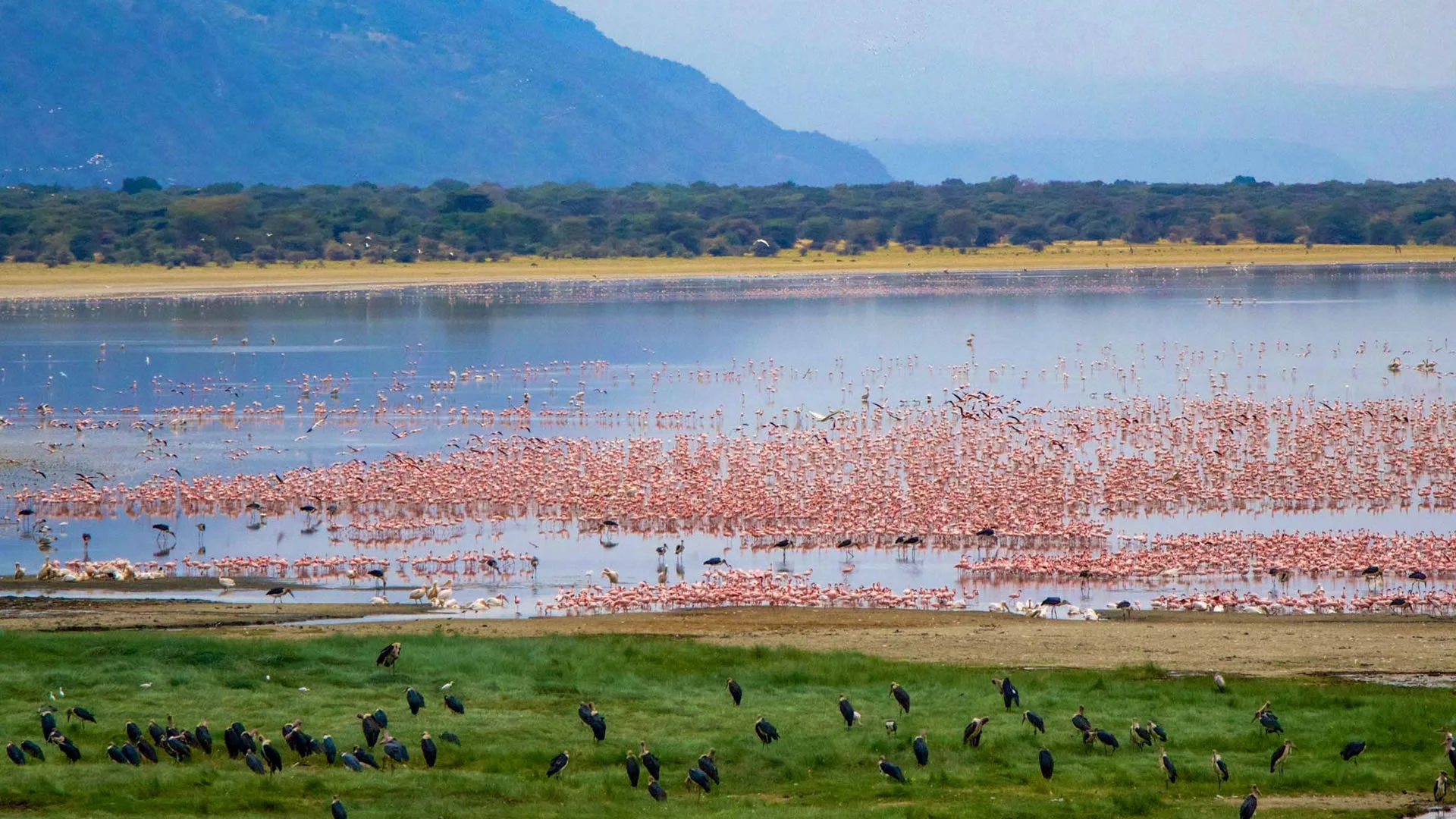 Safari de 5 jours dans la vallée et le cratère de Tanzanie