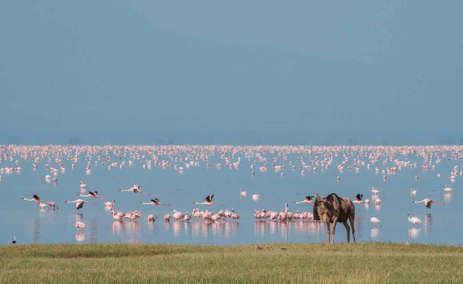 7-Day Northern Tanzania from Nairobi (Crater Finale)