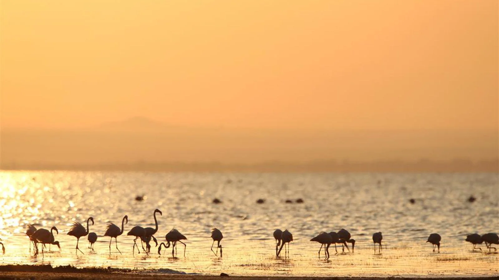 2-Day Tarangire & Lake Manyara Safari