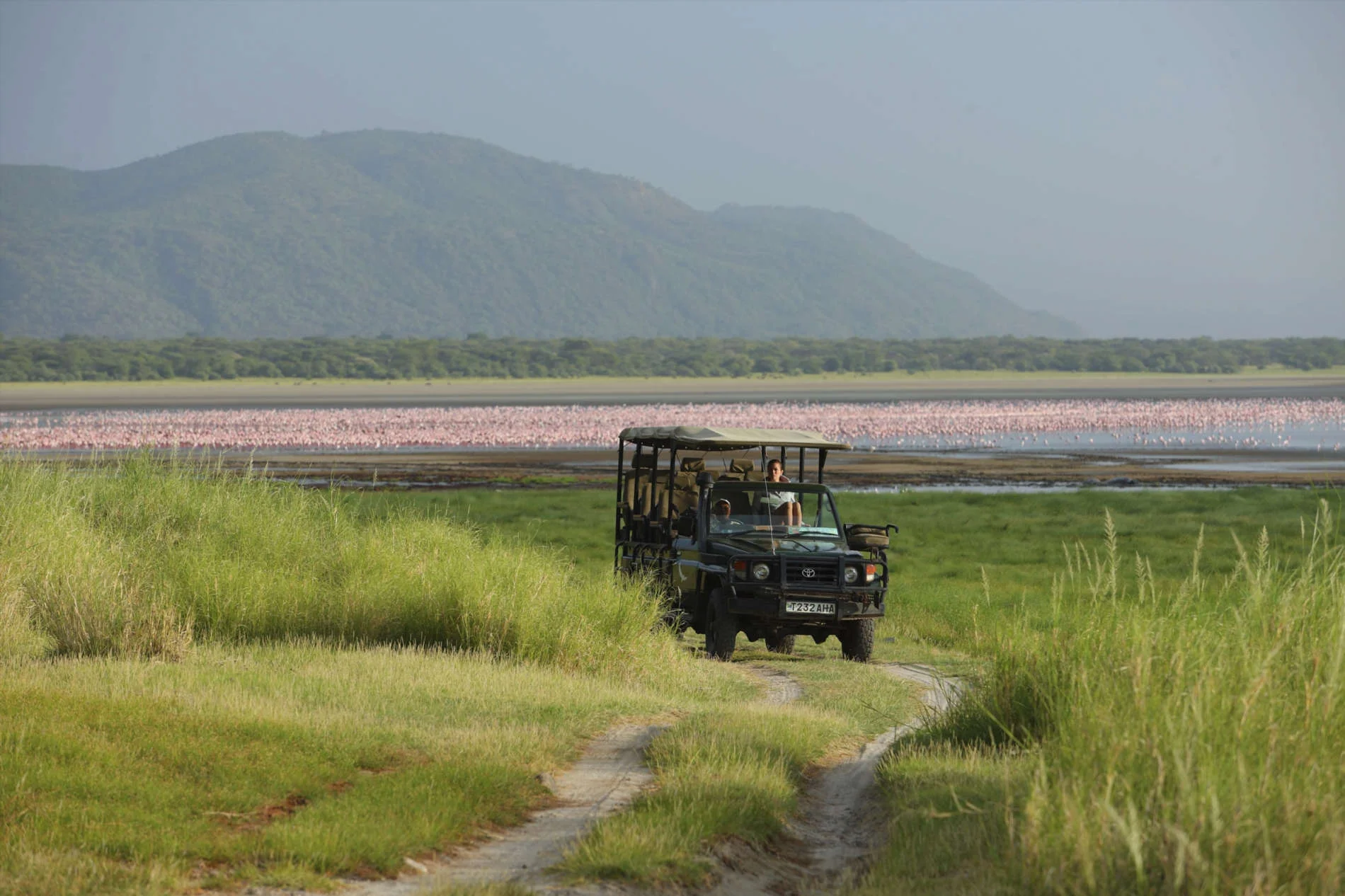 5-Day Tanzania Valley & Crater Fly-In Safari