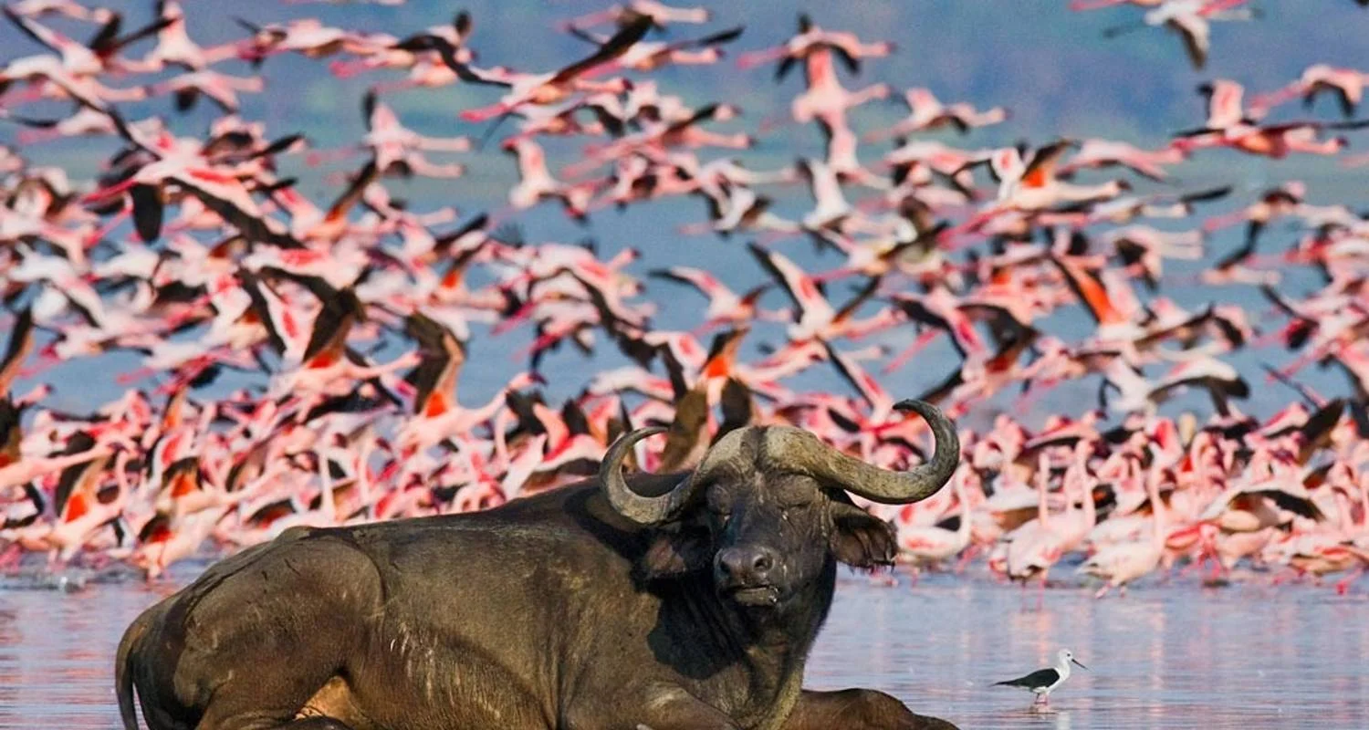 Lake Nakuru National Park — 1