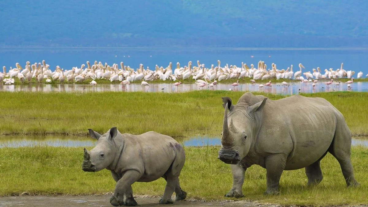 Lake Nakuru National Park — 3
