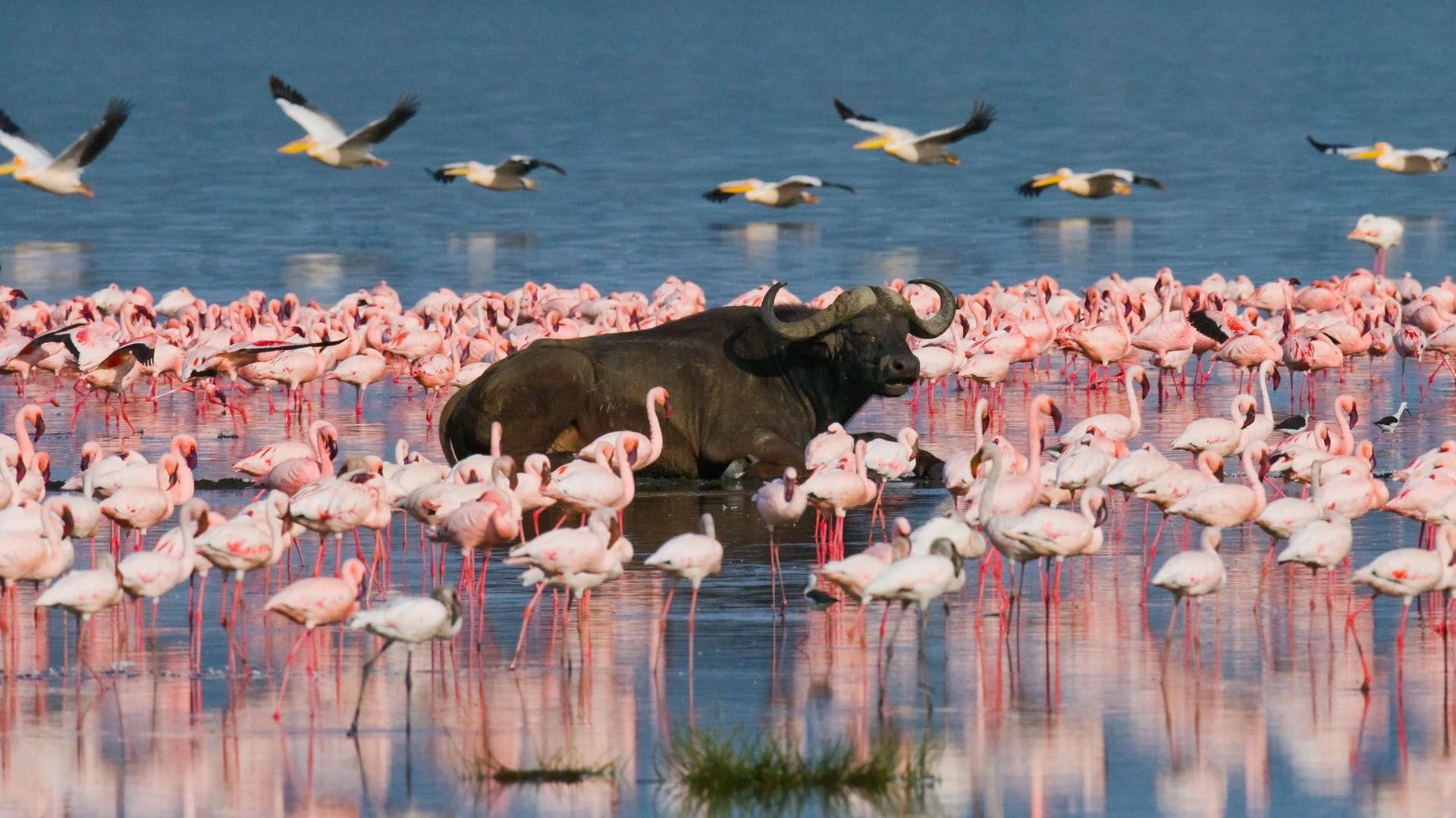 Lake Nakuru National Park — 4