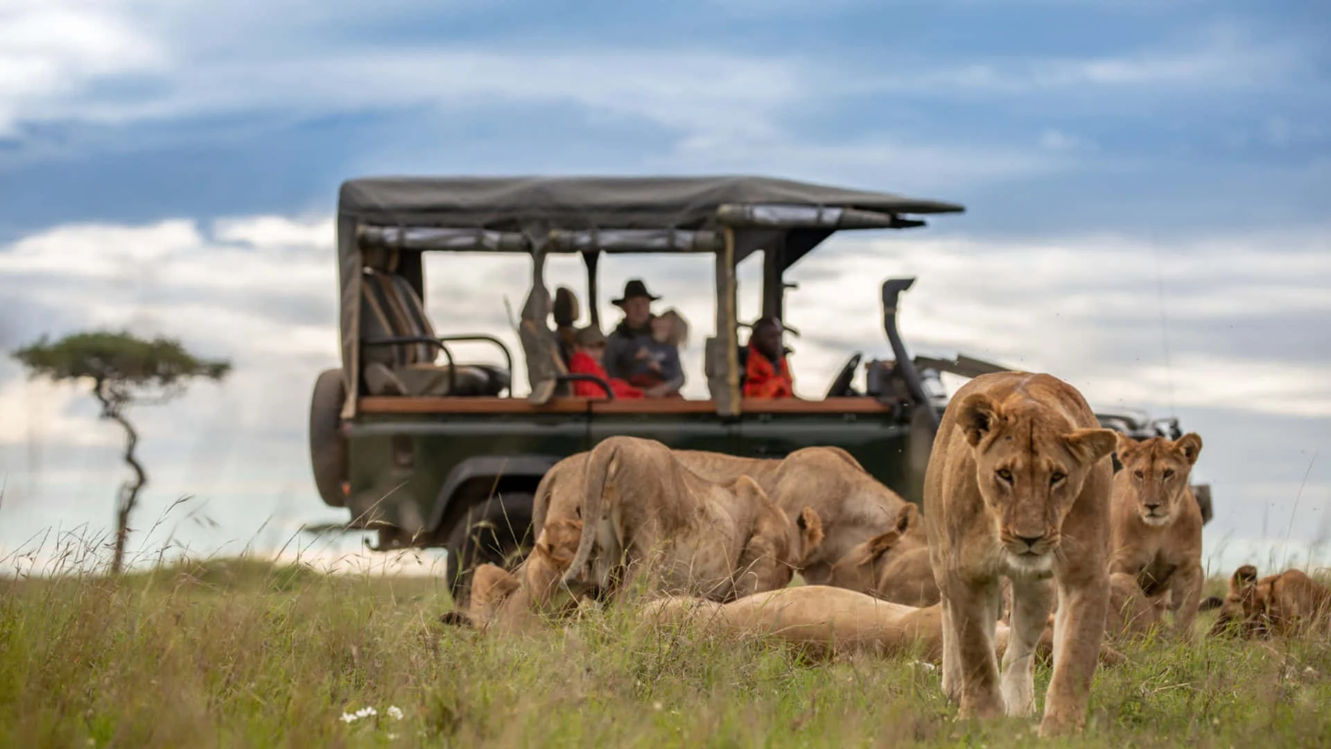 Masai Mara National Reserve — 2