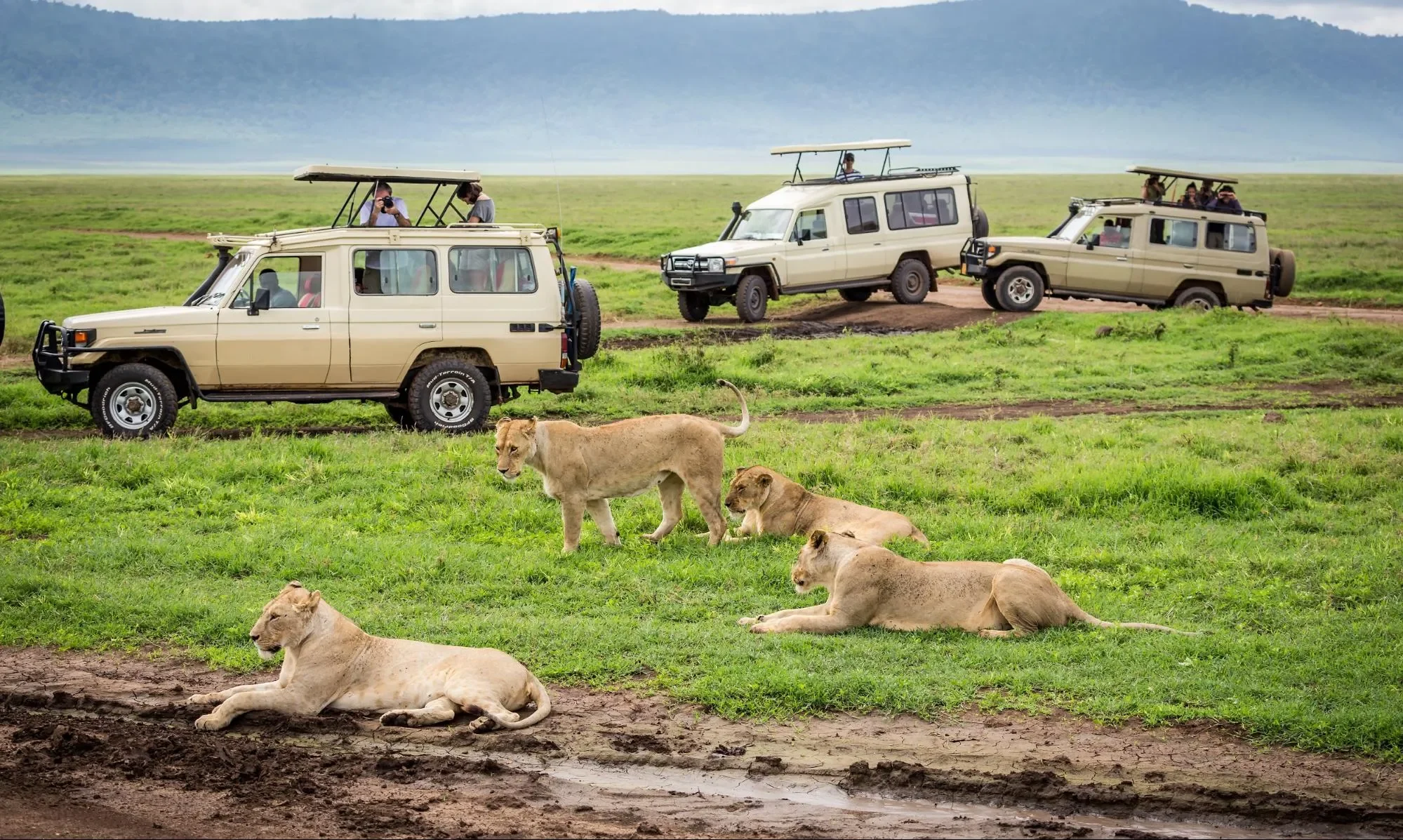 Masai Mara National Reserve — 3