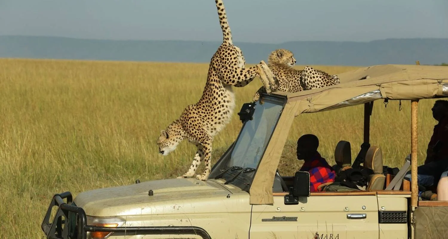 Masai Mara National Reserve — 5