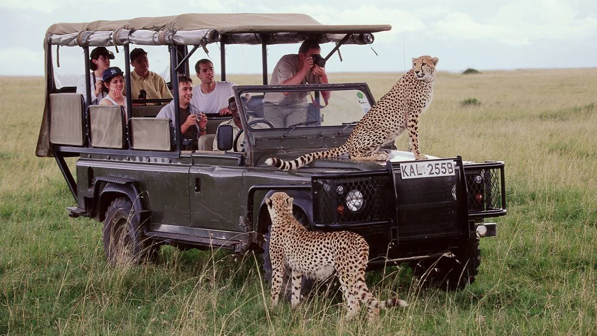 Safari de 8 Días Kenia–Tanzania: Mara, Serengeti y Ngorongoro