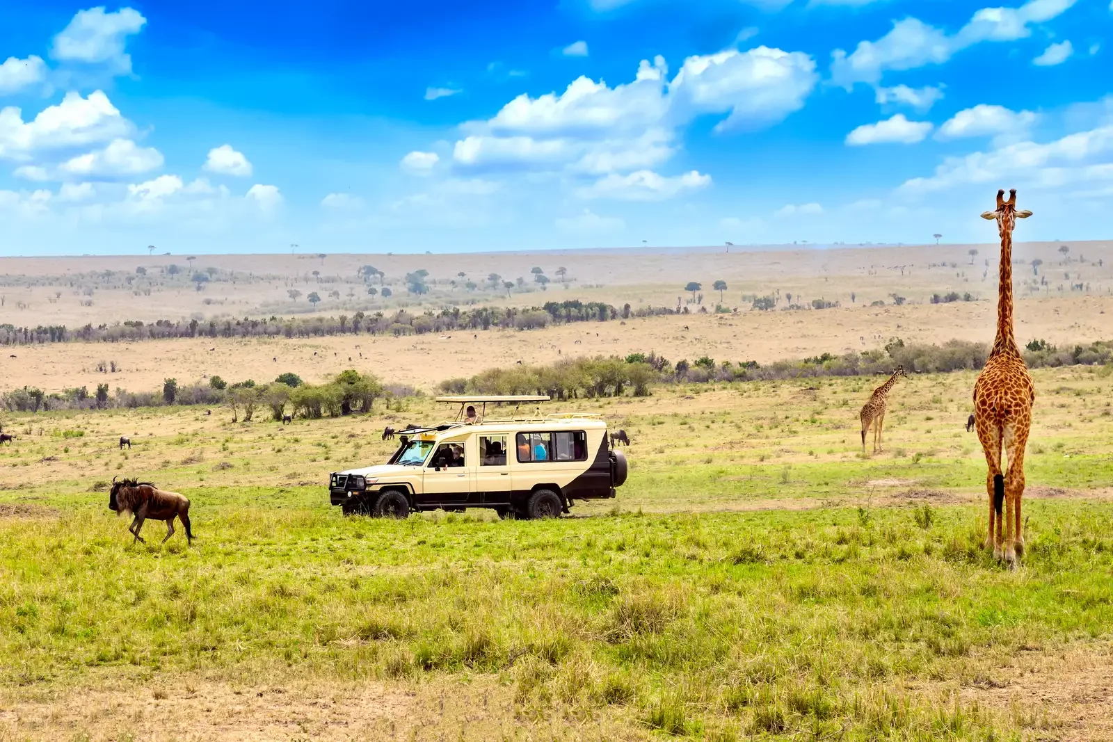 10-Day Kenya-Tanzania Grand Crossover Safari
